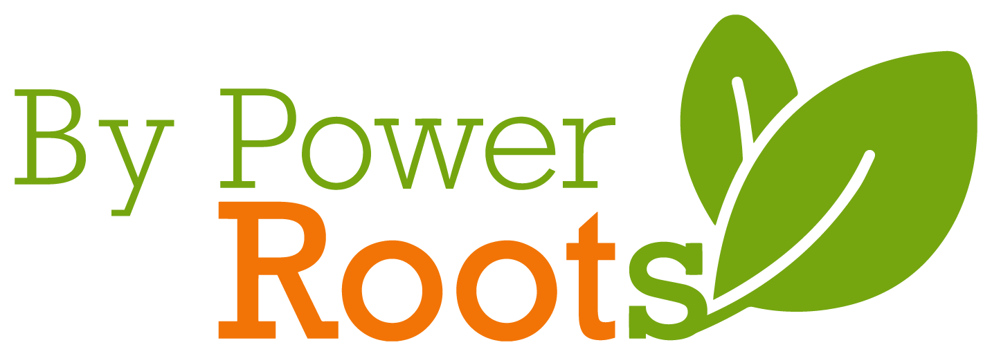 Footer Logo